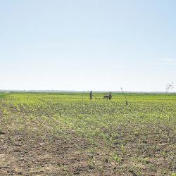 agricultura ecologica