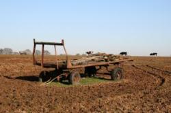 agricultura excesiva