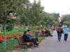 bani pentru spatii verzi