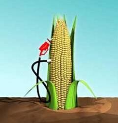 biocarburanti