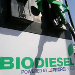 campanie pentru biocombustibil
