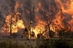 incendiu california