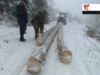 legea toporului
