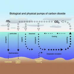 oceanele absorb mai putin CO2