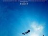 Sharkwater