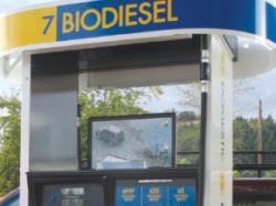 biocombustibil