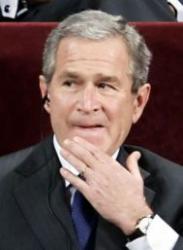 bush