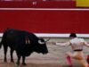 clonarea unui taur de corida clonarea unui taur de corida