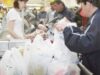 ecotaxa pentru pungi de plastic