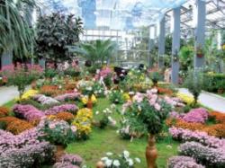 gradina botanica din iasi