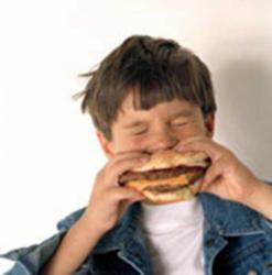 hamburgeri
