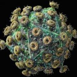 HIV