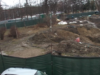 image001.png