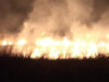 incendiu de vie