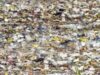 Poluarea plastica a oceanelor Poluarea plastica a oceanelor