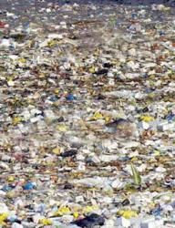 Poluarea plastica a oceanelor