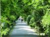 parcul cismigiu