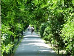 parcul cismigiu