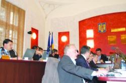proiect pentru adapost de caini