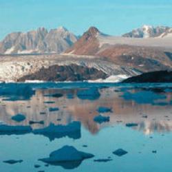 topirea ghetarilor din antarctica