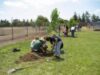 tree-planting-go-green-initiative.jpg tree-planting-go-green-initiative.jpg