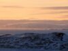 080319085406-large.jpg