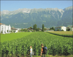 agricultura ecologica