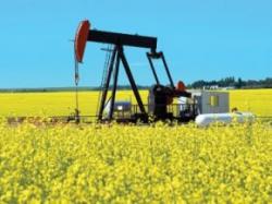 biodiesel