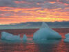 calota glaciara