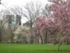 central park central park