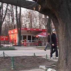 constructii in parcuri