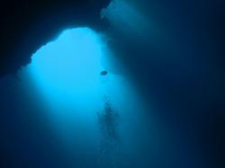 adancurile oceanelor