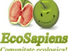 Sunt Eco