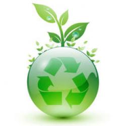 educatie ecologica
