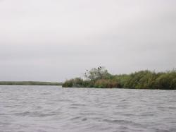 image132.jpeg
