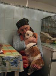 un căţel care a fost adoptat