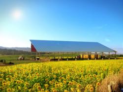 Fotovoltaicul si dezvoltarea agriculturii, prezentat in viziunea unei societati franceze
