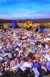 image6.png
