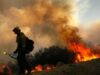 incendii de vegetatie