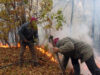 incendiu de begetatie uscata