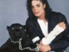 michael jackson michael jackson
