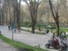 parcul trivale