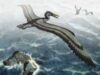 Pelagornithidae