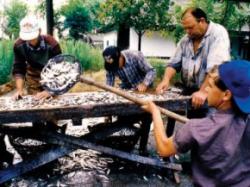 pescari