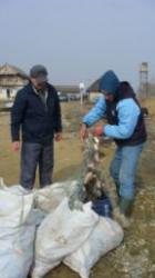 peste braconat