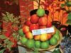 produse eco