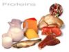 proteins.jpg