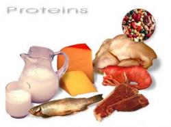 proteins.jpg