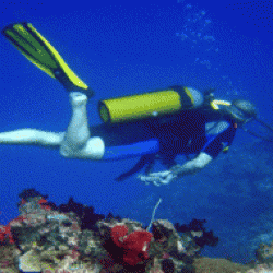 scufundari la marea neagra