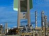 tree_skyscraper.jpg